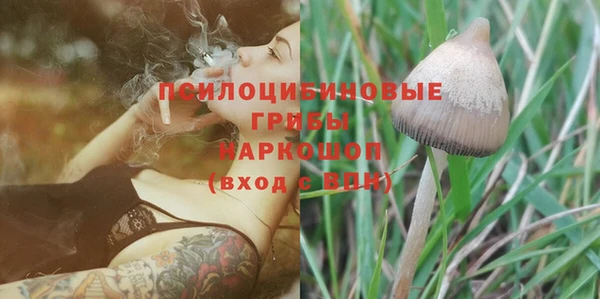 дурь Ижевск